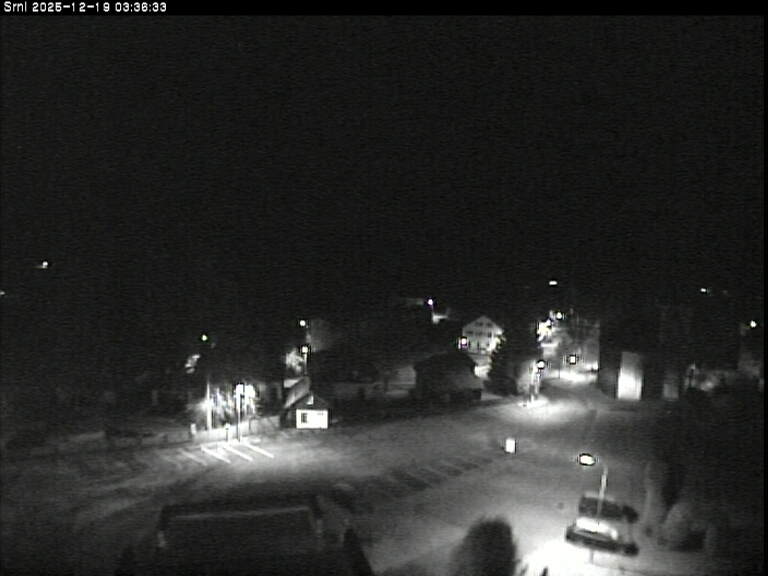 Kamera na żywo - Srní