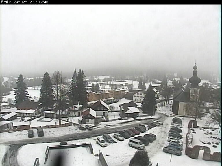 Kamera na żywo - Srní