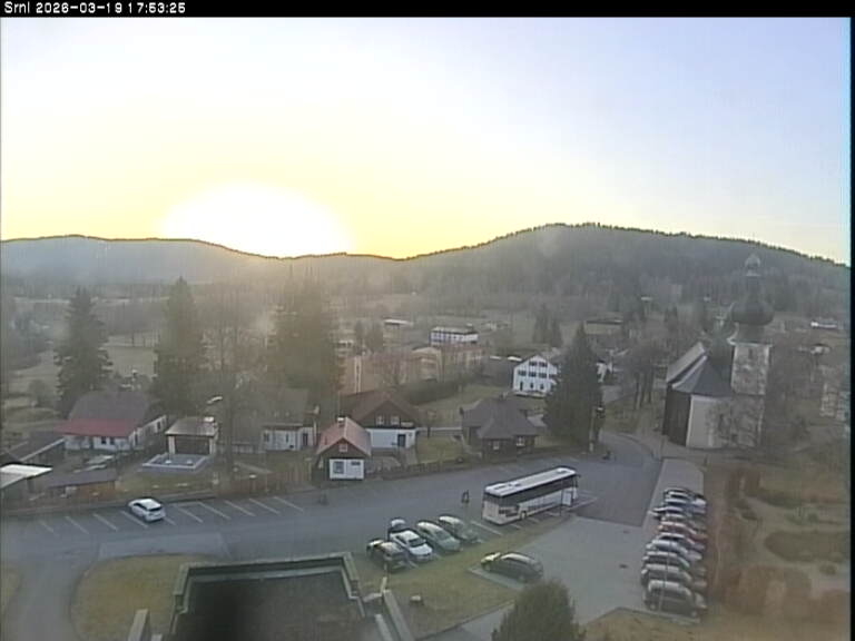 Kamera na żywo - Srní