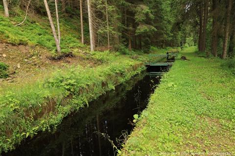 Náhon přivádějící vodu z Teplé Vltavy